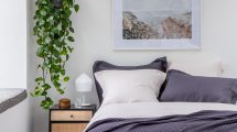 Which Colour is Best for your Bedroom? | Soak&Sleep