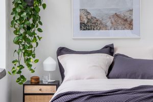 Which Colour is Best for your Bedroom? | Soak&Sleep